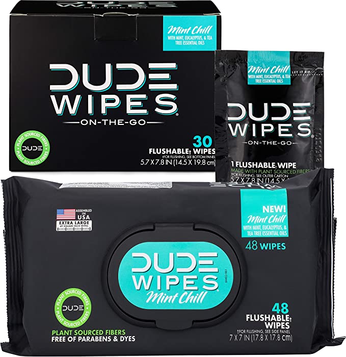 DUDE Wipes Flushable Wipes Mint Chill (48 Count Dispenser and 30 Single Wipes) Individually Wrapped & Dispenser with Mint, Eucalyptus, and Tea Tree Essential Oil