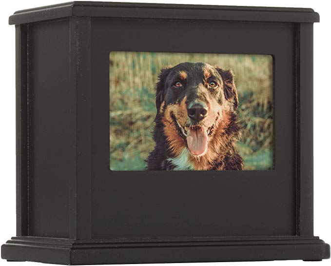 Pearhead Pet Memorial Urn, Cat or Dog Memory Box, Pet Memorial Keepsake