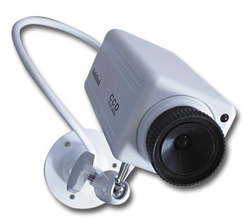 Swann Simulated Security Camera