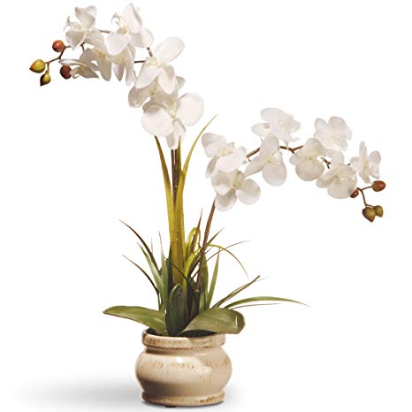 National Tree 24 Inch Cream Orchid in Decorative Ceramic Pot (RAS-N071060-1)