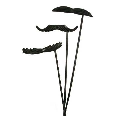 12 Plastic Assorted Mustache Sticks - Photo Props and Moustache Party Favors