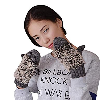 YouZi Women's Cartoon Hedgehog Winter Cotton Gloves Girls' Thick Mittens