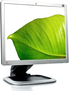 HP L1950G LCD Monitor.