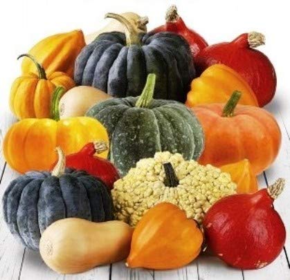 Pumpkin Simeon Mix Organic Seeds 7 Best Sweet Varieties up to 100 Seeds
