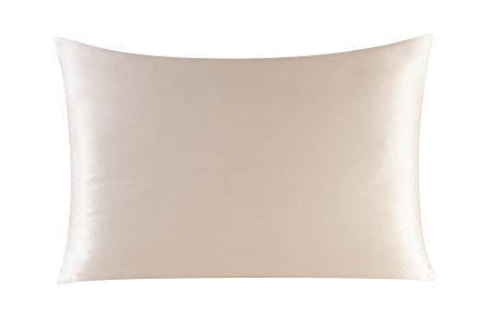 Townssilk Both Side 100% 16mm Silk Pillowcase Queen Size Pillow Case Cover with Hidden Zipper Taupe