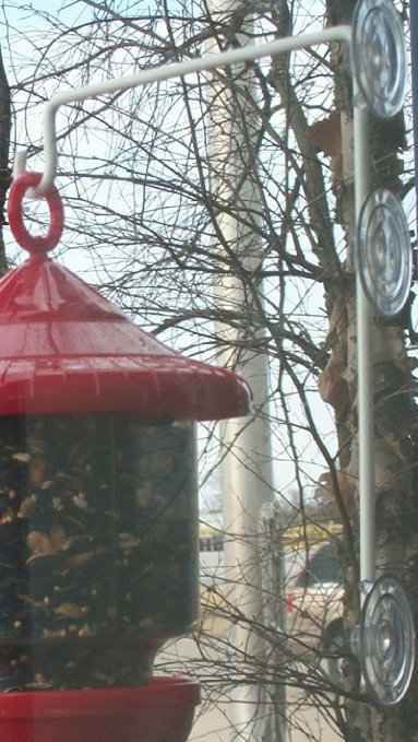 Suction Cup Window Hanger for Birds