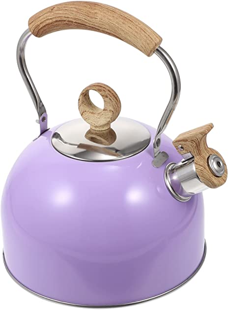 DOITOOL Whistling Tea Kettle Stainless Steel Teapot for All Stovetops Tea Maker with Ergonomic Handle and Straight Pour Spout