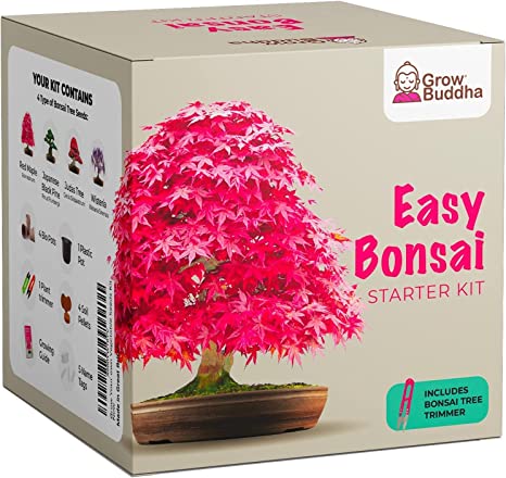 Grow Your own Bonsai kit – Easily Grow 4 Types of Bonsai Trees with Our Complete Beginner Friendly Bonsai Seeds Starter kit – Unique Seed kit Gift idea