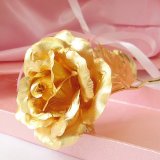 KDLINKS 24K 6 Inch Gold Foil Rose Best Valentines Day Gift Handcrafted and Last Forever - 50 Bigger Rose Flower  Free Greeting Card