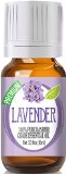Lavender 100 Pure Best Therapeutic Kashmir Grade Essential Oil for Aromatherapy - 10ml