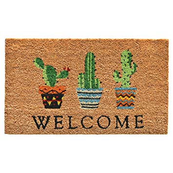 Calloway Mills 104051729 Cactus Welcome Doormat, 17" x 29" Multicolor
