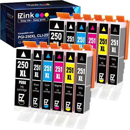 E-Z Ink (TM) Compatible Ink Cartridge Replacement for Canon PGI-250XL PGI250 XL CLI-251XL CLI251 XL to use with Pixma IP8720 (2 Large Black, 2 Cyan, 2 Magenta, 2 Yellow, 2 Small Black, 2 Gray) 12 pack