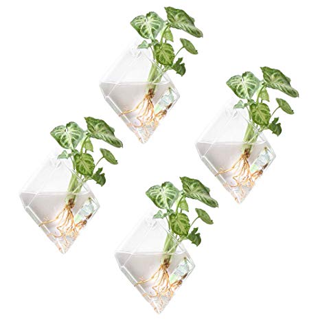 Mkono 4 Pack Wall Hanging Plant Terrarium Indoor Glass Planter for Home Decor, Diamond Shape