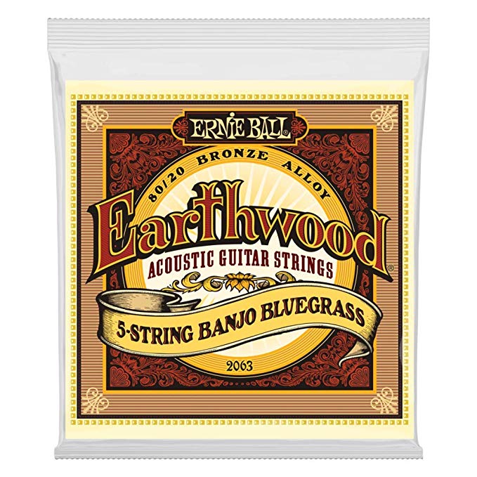 Ernie Ball Earthwood 5-string Banjo 80/20 Bronze Loop End Bluegrass Set, .009 - .020