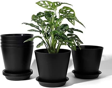 Plant Pot - POTEY 6.5 Inch Plastic Indoor Pots with Drainage Holes and Trays for Orchid, Herbs, Succulents, Snake Plant - 002L, Black, Set of 6