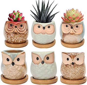 Succulent Planter Pots Owl Ceramic - Small Planter Pots with Drain Hole & Bamboo Saucers Small Cactus Flower Plant Bonsai Container Gift for Office Coworkers Friends Home Decoration Pack of 6