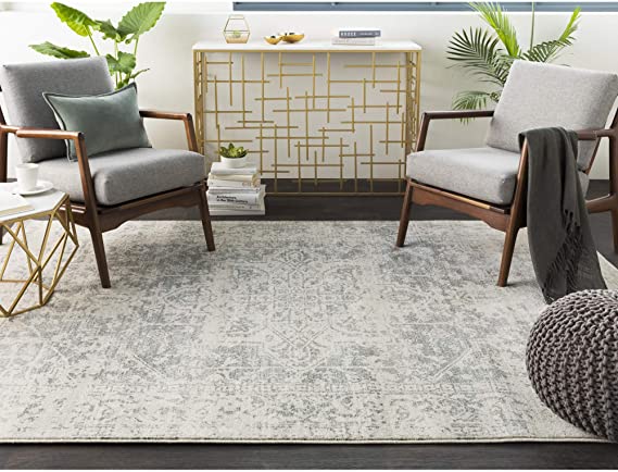 Janine Gray and Beige Updated Traditional Area Rug 5'3" x 7'3