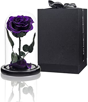 Preserved Rose Purple Real Rose in Glass Dome, Roses Never Withered Flower Gifts for Her, Valentine's Day, Mother's Day, Birthday, Christmas