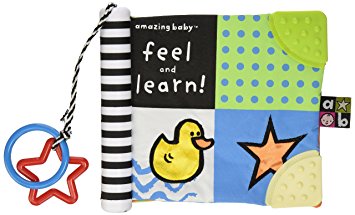 Amazing Baby Feel and Learn Soft Book