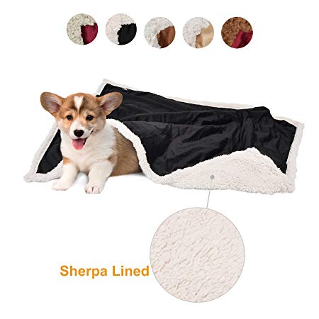 Pawsse Puppy Blanket,Super Soft Sherpa Plush Fleece Dog Blankets and Throws for Small Medium Dogs Cats Doggy Sleeping Mat 45"x30"