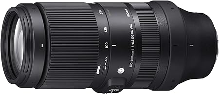 100-400mm F-5.6.3 DG DN OS L-Mount