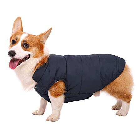 ASENKU Windproof Dog Winter Coat Waterproof Dog Jacket Warm Dog Vest Cold Weather Pet Apparel with 2 Layers Fleece Lined for Small Medium Large Dogs
