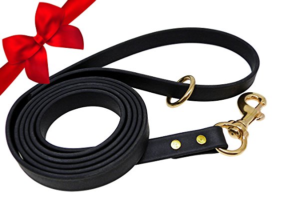 JimHodgesDogTraining "Gummy Dog Leash" - Premium Quality Biothane Dog Leash - 6 Feet - Different Sizes and Colors - Great Lead for Walking, Training, Hiking and Jogging with your Dog - Made in the USA