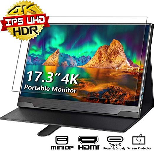 Portable Monitor 4K - 17.3 Inch UHD FreeSync HDR IPS 100% Adobe RGB 3840x2160 Lightwight Eye Care Computer Display with Type-C Mini DP HDMI for Xbox PS4 Switch Laptop PC Phone Mac, with Smart Case