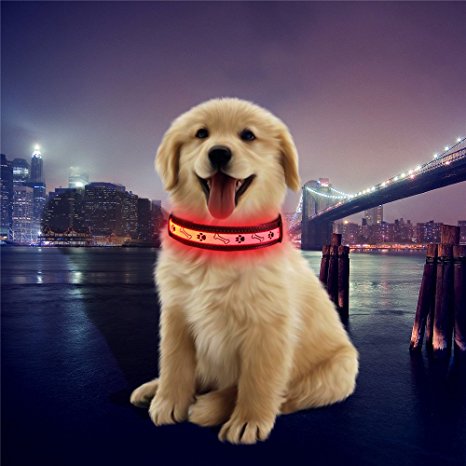 Emmabin LED Dog Collar, USB rechargeable, Glow or Flash Pet Dog for Ultimate Safety, Good for Small, Medium and Large Dogs