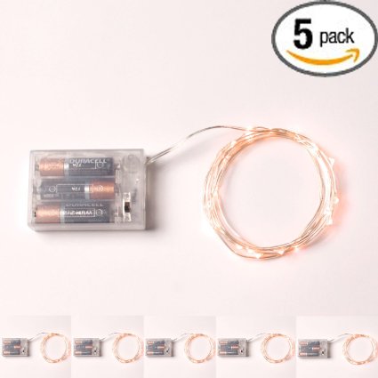 RTGS 20 Warm White Color Micro LED String Lights Battery Operated on 7.5 Feet Silver Wire (5)