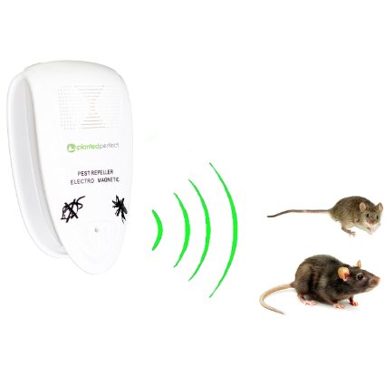 PRO PEST CONTROL - Natural Ultrasonic Rodent Repeller Controls House Pests And Keeps Family Safe - Repel Mice, Rats, Moths, Bats And More - 100% Pesticide and Exterminator FREE - Safe for Children, Dogs, Cats and Other Pets- Learn How OTHER Electronic Repellent Devices LIE TO YOU - NO Electric, Electromagnetic or Sonic Device Works Prevent Spiders, Ants, Cochroaches, Mosquitoes or Most Insects - We Repelling Rodents With Proven, Guaranteed Mouse Removal and Prevention- 60 Day FREE IN HOME TRIAL