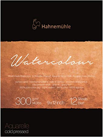Hahnemuhle Collection Watercolor 300 Pad Cold Pressed 9x12 Inches 300gsm