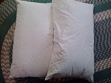 Goose Feather and Down Bed pillows, Set of 2 (Queen)