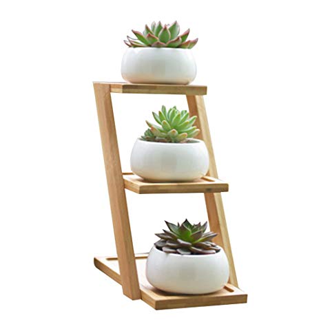 LANKER 3.25 Inch Round White Ceramic Succulent Planter Pots Modern Cactus Pots Container with 3 Tier Bamboo Tray – Pack of 3 (Round 3.2 Inch)