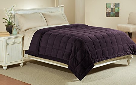 Luxlen Full / Queen Microfiber Blanket in Purple | Reversible: Soft Plush to Satin Cool | Staintech Treated