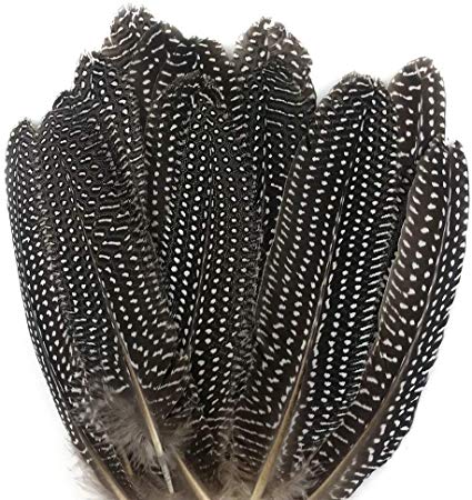 JPSOR 20pcs 6-8 Inches Natural Spotted Feathers for DIY Craft, Jewelry and Clothing Decoration