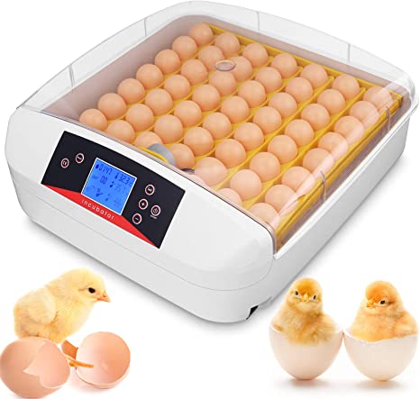 Sailnovo Egg Incubator, 55 Eggs Digital Incubator with Fully Automatic Egg Turning and Humidity Control 90W Clear Hatching for Chicken Duck Eggs