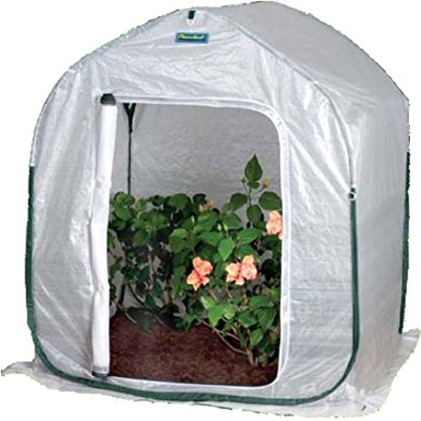 Flower House FHPH140 PlantHouse 4 Pop-Up Plant House
