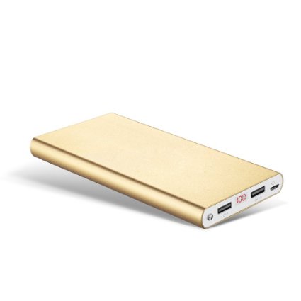 Fritesla 16000mah Power Bank Portable Charger for Smartphones-Gold