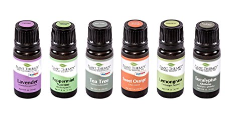 Top 6 Essential Oil Sampler Set. Includes 100% Pure, Undiluted, Therapeutic Grade Essential Oils of Lavender, Eucalyptus, Sweet Orange, Peppermint, Lemongrass and Tea Tree. 10 ml each by Plant Therapy Essential Oils