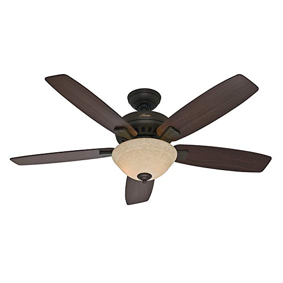 Hunter 53176 Banyan 52-Inch Ceiling Fan, New Bronze