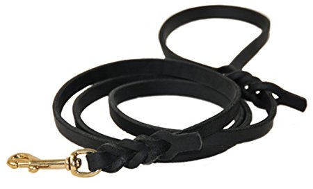 Dean and Tyler Nocturne Dog Leash, Black 6-Feet by 1/2-Inch Width With Solid Brass Hardware.
