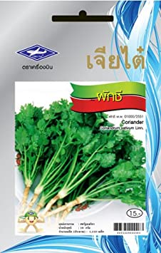 Coriander (1100 Seeds Per Package) - From Chai Tai, Thailand