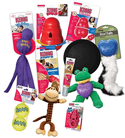 KONG Favorites Large Dog Toys and Treats Combo Pack (Colors Vary)