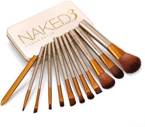 NAKEDPLUS Makeup Brushes Kit with A Silver Storage Box - Set of 12