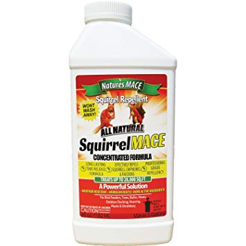 Squirrel MACE Squirrel Repellent 40oz Concentrate