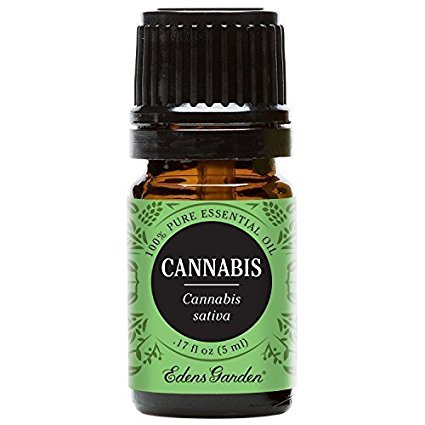 Cannabis 100% Pure Therapeutic Grade Essential Oil by Edens Garden - 5 ml, GC/MS tested