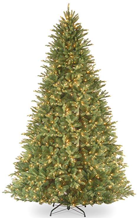 National Tree 9 Foot "Feel Real" Tiffany Fir Tree with 1050 Clear Lights, Hinged (PETF3-300-90)