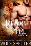 Dragon Fire MM Gay Shifter Mpreg Romance Wildfire Series Book 1