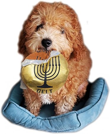 Hanukkah Gelt Coin Dog Toy - Chewdaica Oxford Material Hanukkah Gifts for Dog Owners, Judaica Jewish Holiday Party Favors Chanukah Accessories Décor